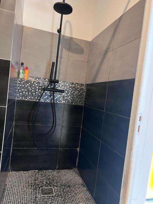 סין Maison Type 4 Et Jardin Spacieux מראה חיצוני תמונה